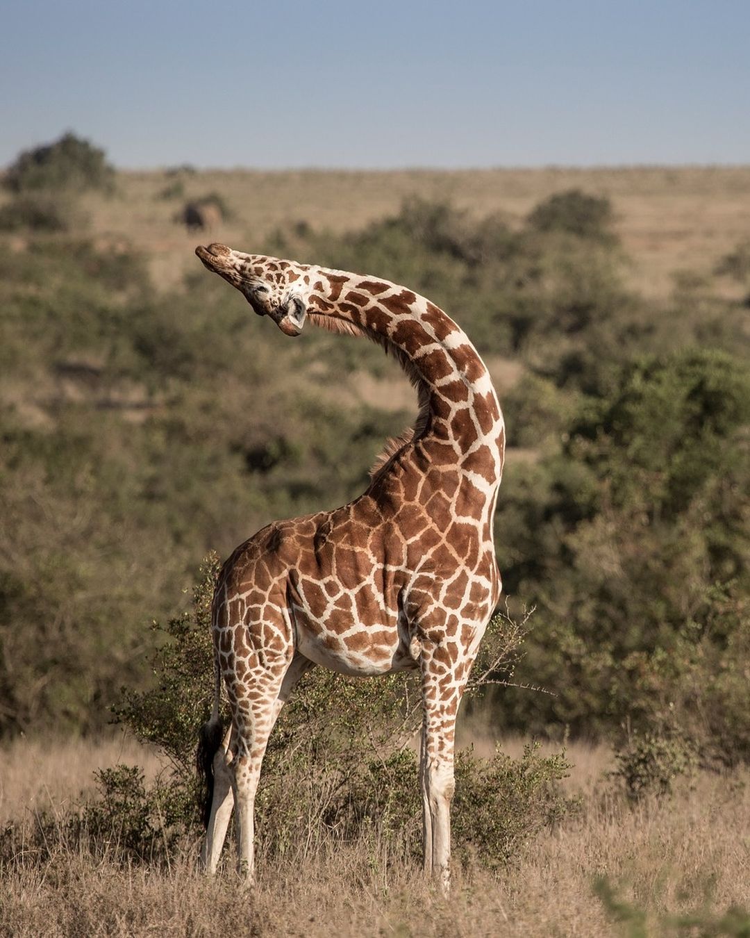 Omuka Africa Safaris (29)